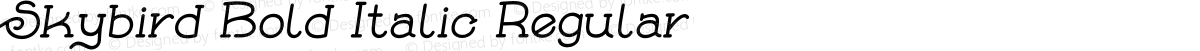 Skybird Bold Italic Regular