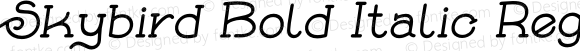 Skybird Bold Italic Regular
