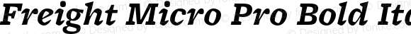 Freight Micro Pro Bold Italic