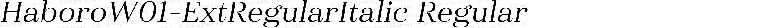 Haboro W01 Ext Regular Italic
