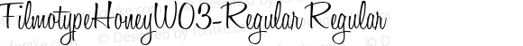 FilmotypeHoneyW03-Regular Regular