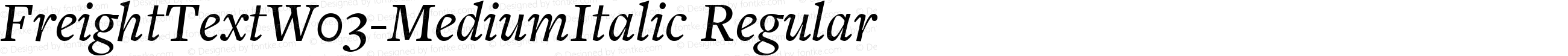 FreightText W03 Medium Italic