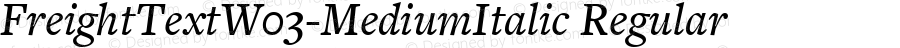 FreightText W03 Medium Italic