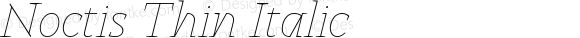 Noctis Thin Italic