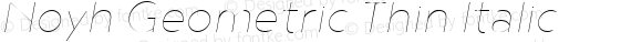 Noyh Geometric Thin Italic