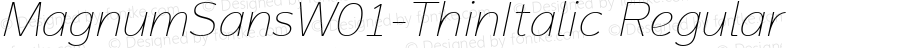 Magnum Sans W01 Thin Italic