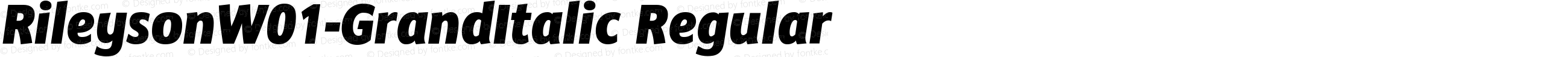 Rileyson W01 Grand Italic