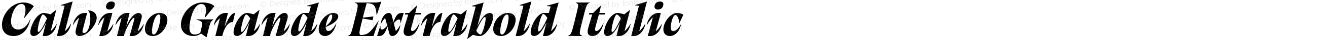 Calvino Grande Extrabold Italic