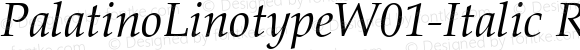 PalatinoLinotypeW01-Italic Regular