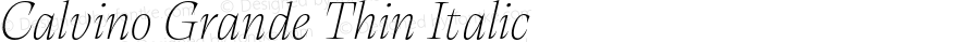 Calvino Grande Thin Italic