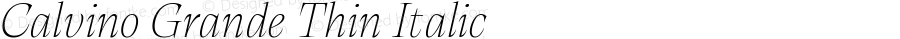 Calvino Grande Thin Italic