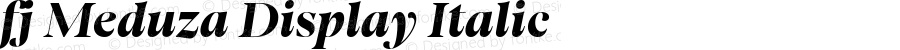 fj Meduza Display Italic