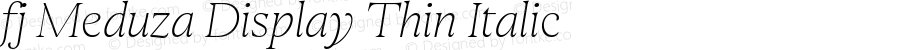 fj Meduza Display Thin Italic