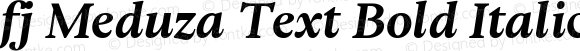fj Meduza Text Bold Italic