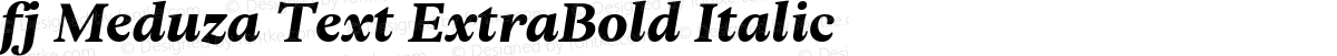 fj Meduza Text ExtraBold Italic