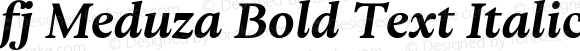 fj Meduza Bold Text Italic