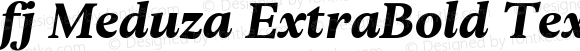 fj Meduza ExtraBold Text Italic