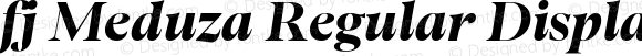 fj Meduza Regular Display Italic