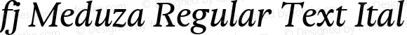 fj Meduza Regular Text Italic