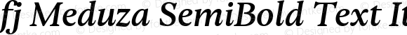 fj Meduza SemiBold Text Italic
