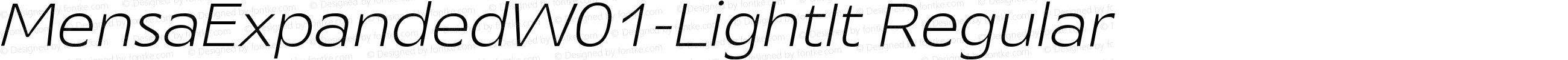 Mensa Expanded W01 Light Italic
