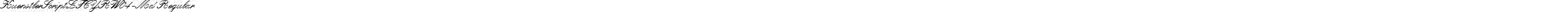 KuenstlerScriptLTCYRW04-Md Regular