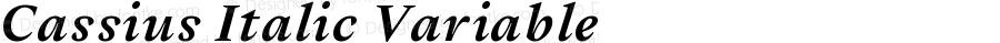 Cassius Italic Variable