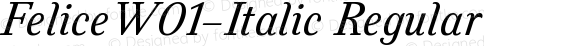 FeliceW01-Italic Regular Version 1.00