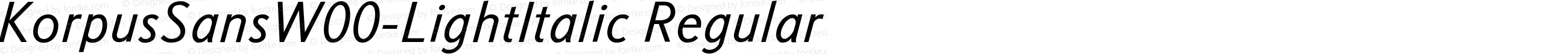 Korpus Sans W00 Light Italic