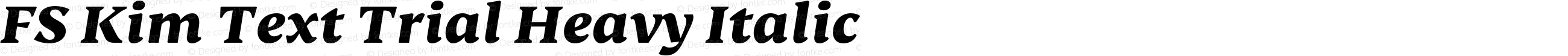 FS Kim Text Trial Heavy Italic