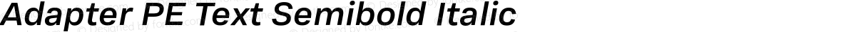 Adapter PE Text Semibold Italic