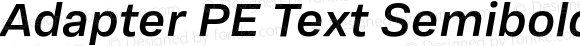 Adapter PE Text Semibold Italic