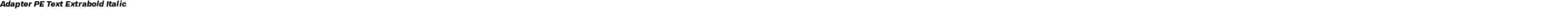 Adapter PE Text Extrabold Italic