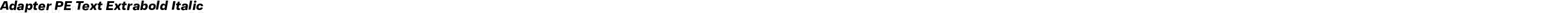 Adapter PE Text Extrabold Italic