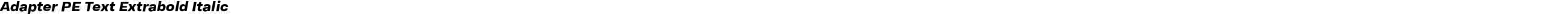 Adapter PE Text Extrabold Italic