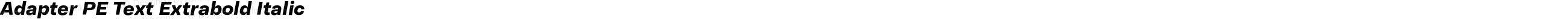 Adapter PE Text Extrabold Italic