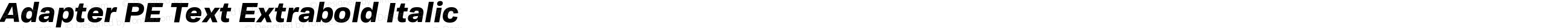 Adapter PE Text Extrabold Italic