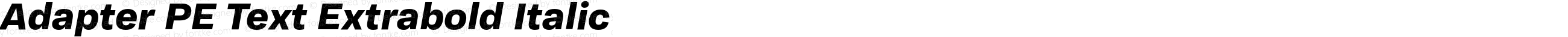 Adapter PE Text Extrabold Italic