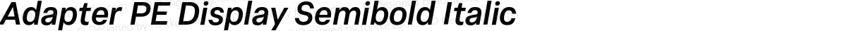 Adapter PE Display Semibold Italic