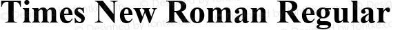 Times New Roman W01 Bold