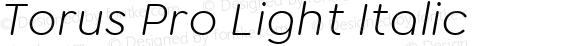 Torus Pro Light Italic