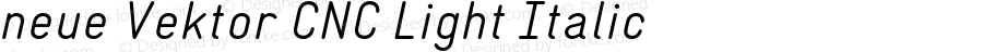 neue Vektor CNC Light Italic