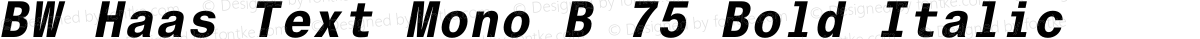 BW Haas Text Mono B 75 Bold Italic