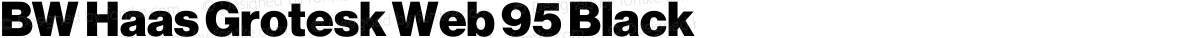 BW Haas Grotesk Web 95 Black