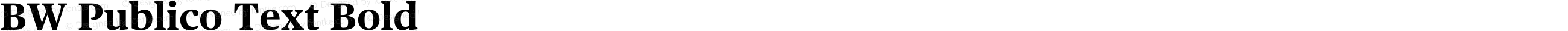 BW Publico Text Bold