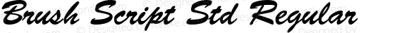 Brush Script Std Regular