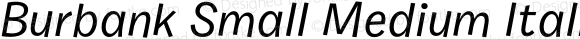 Burbank Small Medium Italic
