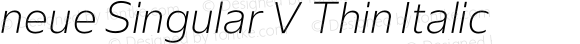 neue Singular V Thin Italic