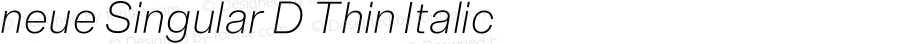 neue Singular D Thin Italic