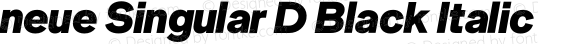 neue Singular D Black Italic